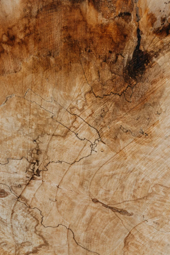 Close-up of a piece of wood showing natural grain patterns and deep brown textures.