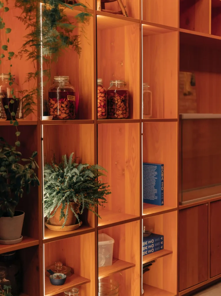 Wooden shelves with potted plants, jars filled with dried goods, and some books.